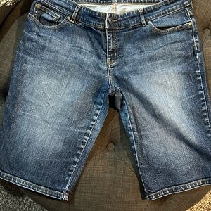 The Limited Dark Blue Women's Denim Shorts